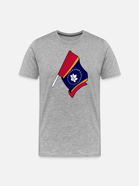 Flag of Mississippi - Men's Premium Organic T-Shirt - heather grey