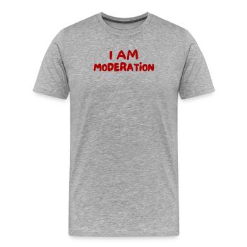 Ich bin maßvoll - Männer Premium Bio T-Shirt - Grau meliert - Vorne - Damien (186cm)
