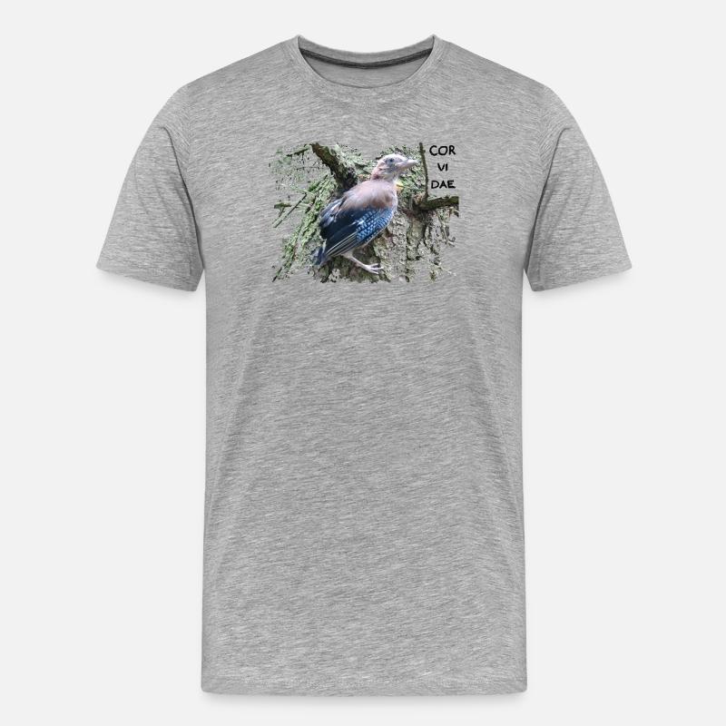 Eichelhäher Corvidae - Männer Premium Bio T-Shirt - Grau meliert