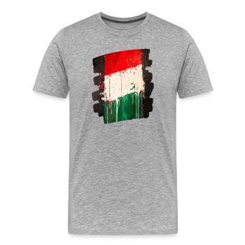 Italian flag Italy - Men's Premium Organic T-Shirt - heather grey - Front - Damien (186cm)