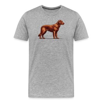 Chesapeake Bay Retriever - Men's Premium Organic T-Shirt - heather grey - Front - Damien (186cm)