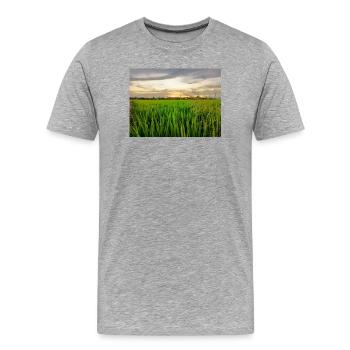 Sunset - Men's Premium Organic T-Shirt - heather grey - Front - Damien (186cm)
