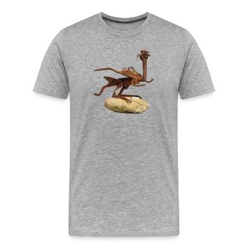 kite - Men's Premium Organic T-Shirt - heather grey - Front - Damien (186cm)