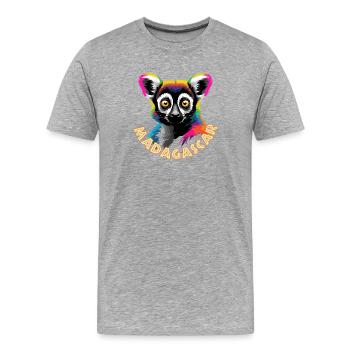 Lemur von Madagaskar - Männer Premium Bio T-Shirt - Grau meliert - Vorne - Damien (186cm)