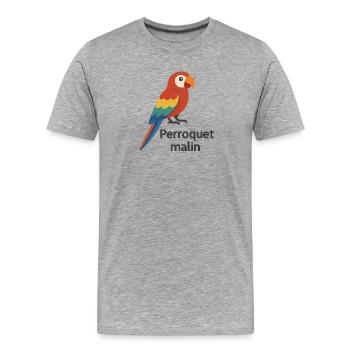 Perroquet coloré "Perroquet malin" - T-shirt bio Premium Homme - gris chiné - Devant - Damien (186cm)