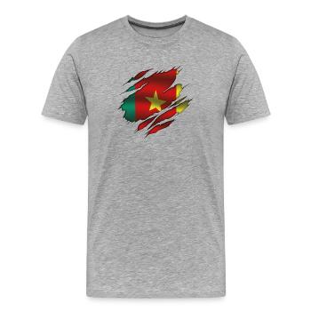 Flagge von Kamerun - Kamerun - Zerrissene Flagge - Männer Premium Bio T-Shirt - Grau meliert - Vorne - Damien (186cm)