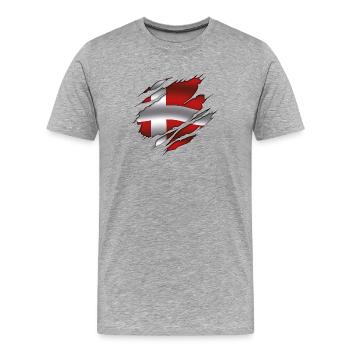 Flag of Denmark - Denmark - Torn Flag - Men's Premium Organic T-Shirt - heather grey - Front - Damien (186cm)