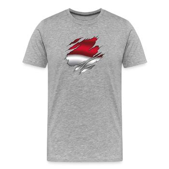 Flag of Indonesia - Indonesia - Torn Flag - Men's Premium Organic T-Shirt - heather grey - Front - Damien (186cm)