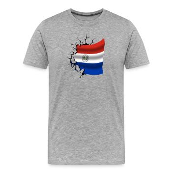 Bandera Paraguay - Paraguay - Flagge Broken Design - Männer Premium Bio T-Shirt - Grau meliert - Vorne - Damien (186cm)