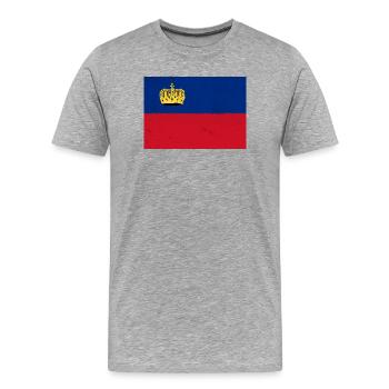 Flagge von Liechtenstein - Männer Premium Bio T-Shirt - Grau meliert - Vorne - Damien (186cm)