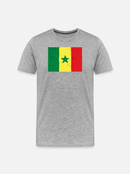 Drapeau du Sénégal - T-shirt bio Premium Homme - gris chiné