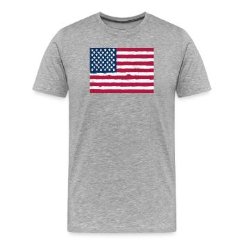 Flagge der Vereinigten Staaten - Männer Premium Bio T-Shirt - Grau meliert - Vorne - Damien (186cm)