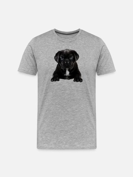 Chiot - T-shirt bio Premium Homme - gris chiné