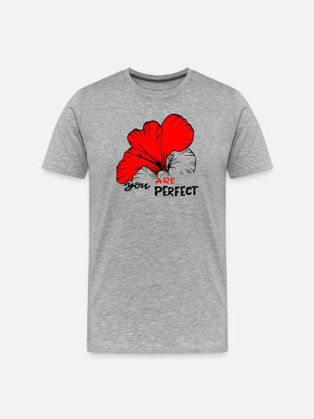 you are perfect - Men's Premium Organic T-Shirt - heather grey