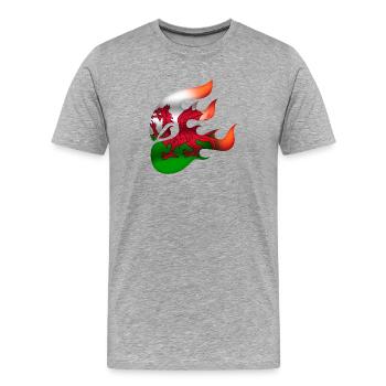 Flagge von Wales - Walisisch - Ninja - Männer Premium Bio T-Shirt - Grau meliert - Vorne - Damien (186cm)
