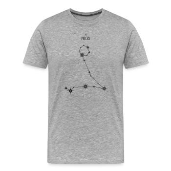 Poissons Signe du zodiaque Constellation d’étoiles Noir et gris - T-shirt bio Premium Homme - gris chiné - Devant - Damien (186cm)