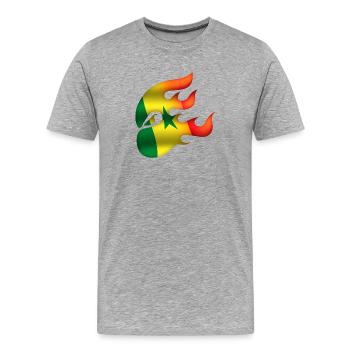Flagge von Senegal - Senegal - Ninja - Männer Premium Bio T-Shirt - Grau meliert - Vorne - Damien (186cm)