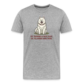 Mein Training: 100% Plüsch, 0% Anweisungen befolge - Männer Premium Bio T-Shirt - Grau meliert - Vorne - Damien (186cm)