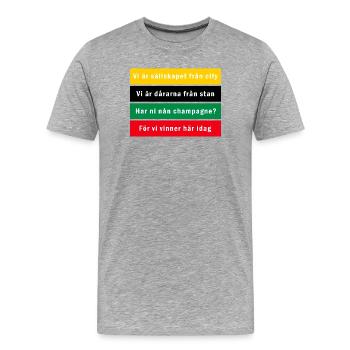 Grün-schwarzes Inferno Das Beste der Stadt - Männer Premium Bio T-Shirt - Grau meliert - Vorne - Damien (186cm)
