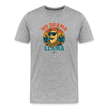 Cool Llama with sunglasses and desert scene - Men's Premium Organic T-Shirt - heather grey - Front - Damien (186cm)