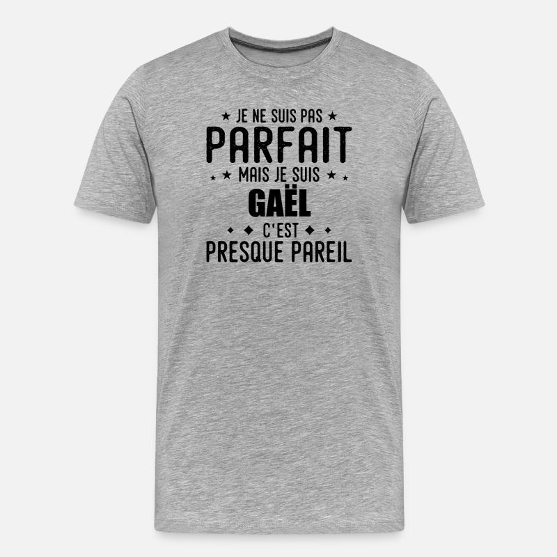 Gael: authentisch, unvollkommen, Top, Perfektion - Männer Premium Bio T-Shirt - Grau meliert
