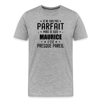 Mauritius: authentic, imperfect, top, perfection - Men's Premium Organic T-Shirt - heather grey - Front - Damien (186cm)