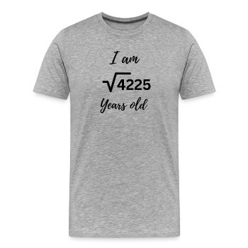 √4225 – Mathematisch 65 werden! - Männer Premium Bio T-Shirt - Grau meliert - Vorne - Damien (186cm)