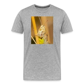 Makrofotografie einer Heuschrecke in Details - Männer Premium Bio T-Shirt - Grau meliert - Vorne - Damien (186cm)