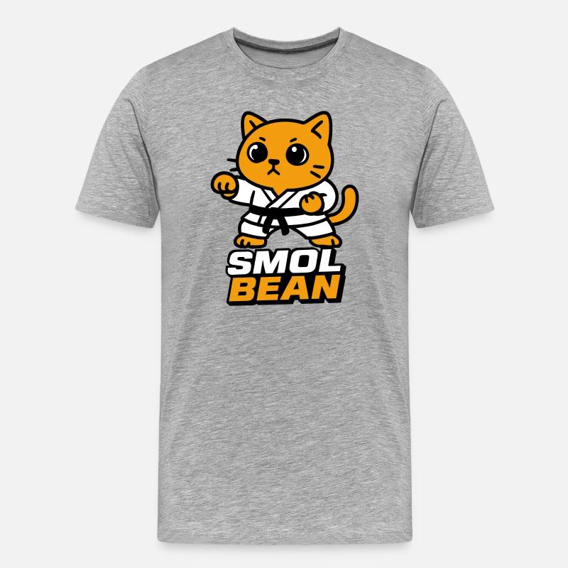 Katzenkämpfer im Dojo - Männer Premium Bio T-Shirt - Grau meliert