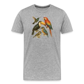 Illustration colorée d'oiseaux exotiques - T-shirt bio Premium Homme - gris chiné - Devant - Damien (186cm)