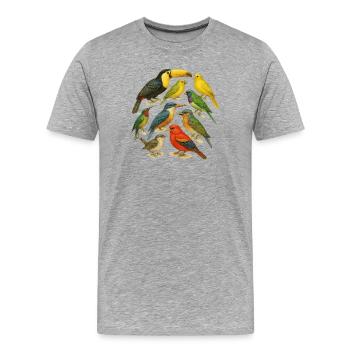 Série d'oiseaux colorés en aquarelle - T-shirt bio Premium Homme - gris chiné - Devant - Damien (186cm)
