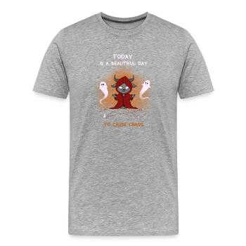 Today is a beautiful day to cause chaos - Männer Premium Bio T-Shirt - Grau meliert - Vorne - Damien (186cm)