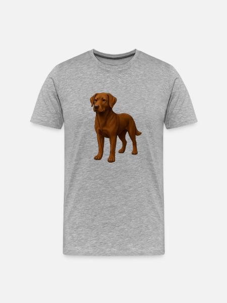 Labrador - T-shirt bio Premium Homme - gris chiné