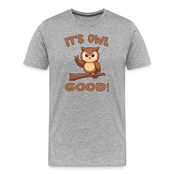 Cute Owl with Encouraging Message - Men's Premium Organic T-Shirt - heather grey - Front - Damien (186cm)
