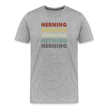 Herning - Denmark - Dänemark - Skandinavien - Männer Premium Bio T-Shirt - Grau meliert - Vorne - Damien (186cm)