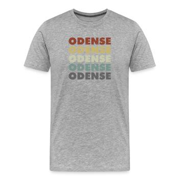 Odense - Danemark - Danemark - Scandinavie - T-shirt bio Premium Homme - gris chiné - Devant - Damien (186cm)