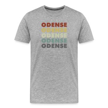 Odense - Danemark - Danemark - Scandinavie - T-shirt bio Premium Homme - gris chiné - Devant - Damien (186cm)