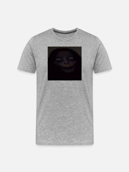 Nachtblick mit Kapuze - Männer Premium Bio T-Shirt - Grau meliert