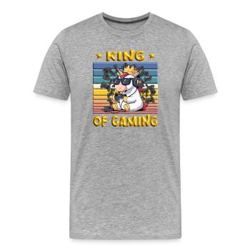 Roi du jeu - einhorn zockt - T-shirt bio Premium Homme - gris chiné - Devant - Damien (186cm)
