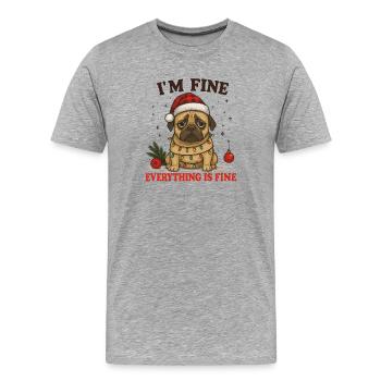 Ich bin fein Alles ist fein Hund - Männer Premium Bio T-Shirt - Grau meliert - Vorne - Damien (186cm)