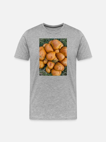 Golden Rolls OutdoorGrass - Men's Premium Organic T-Shirt - heather grey