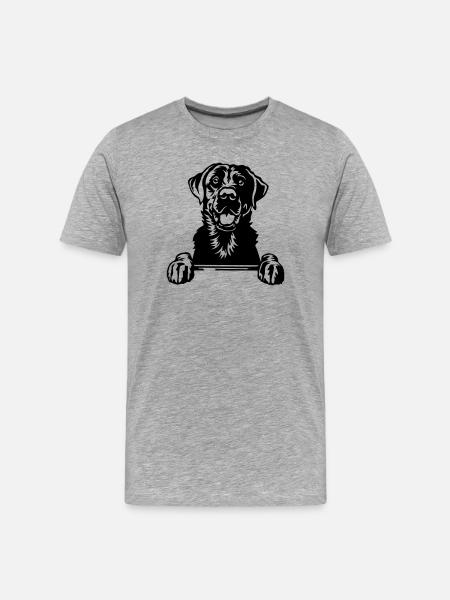 Labrador Kopf - Männer Premium Bio T-Shirt - Grau meliert
