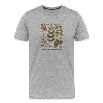 Etude aromatique – Cannelle & Basilic - T-shirt bio Premium Homme - gris chiné - Devant - Damien (186cm)