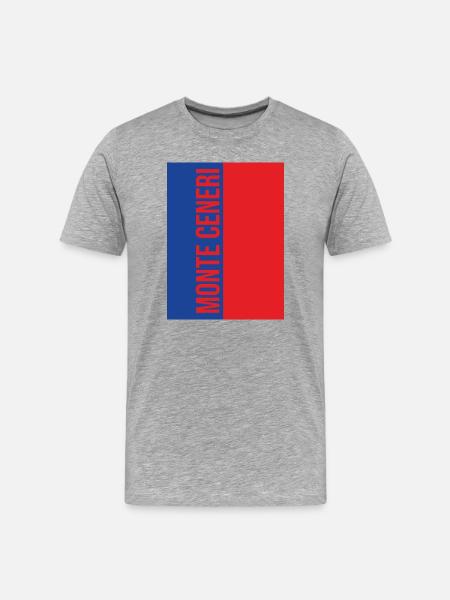 Monte Ceneri T-Shirt - Männer Premium Bio T-Shirt - Grau meliert