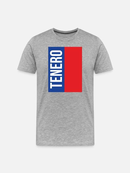 Trendy Tenero T-Shirt - Men's Premium Organic T-Shirt - heather grey