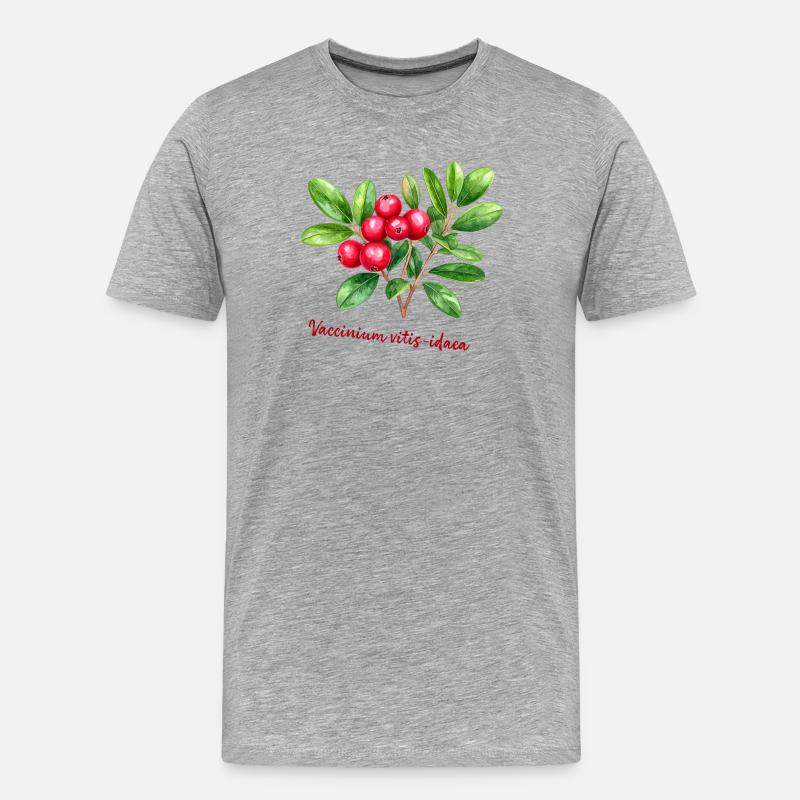 Vaccinium vitis-idaea – botanisches Aquarell - Männer Premium Bio T-Shirt - Grau meliert