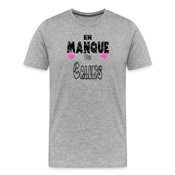 Ich brauche Kuscheleinheiten - Männer Premium Bio T-Shirt - Grau meliert - Vorne - Damien (186cm)
