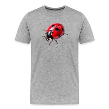 Marienkäfer weden auch Glückskäfer genannt - Männer Premium Bio T-Shirt - Grau meliert - Vorne - Damien (186cm)