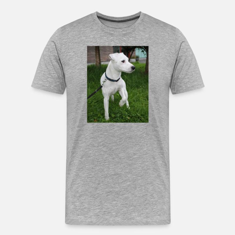 Bild00004 - Männer Premium Bio T-Shirt - Grau meliert