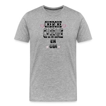 Auf der Suche nach Charme für einen unbefristeten Vertrag - Männer Premium Bio T-Shirt - Grau meliert - Vorne - Damien (186cm)